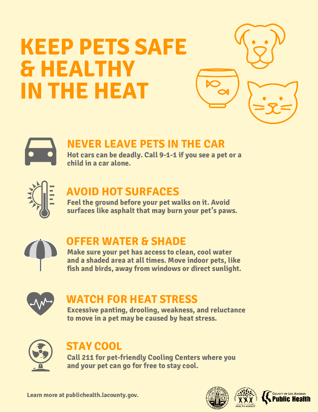 Keeping pets safe & healthy in the heat | City Hall Scoop