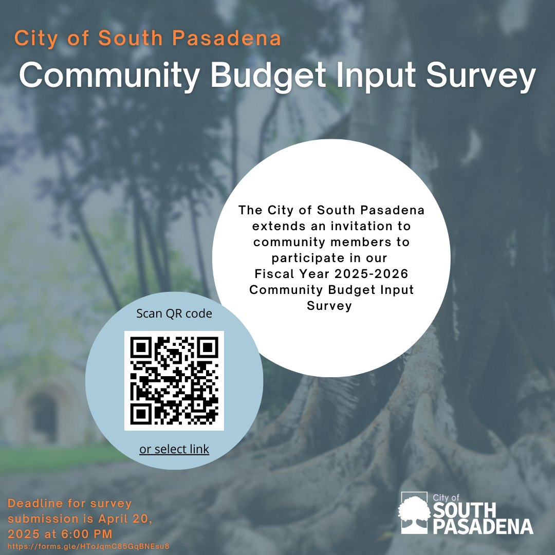 Community Budget Input Survey | City Hall Scoop